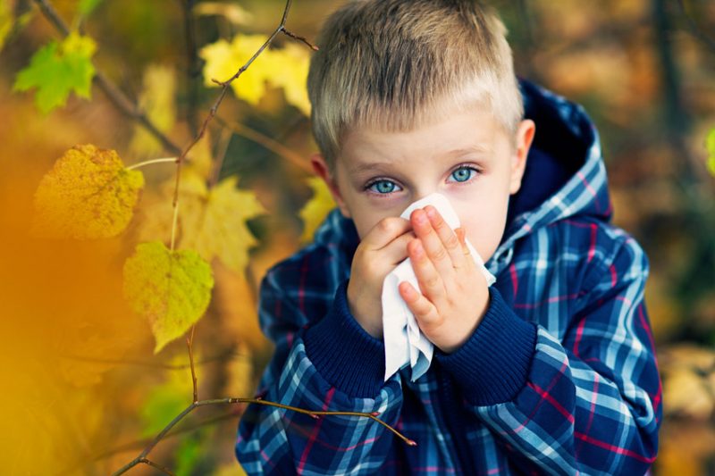 4 tips for surviving fall allergies