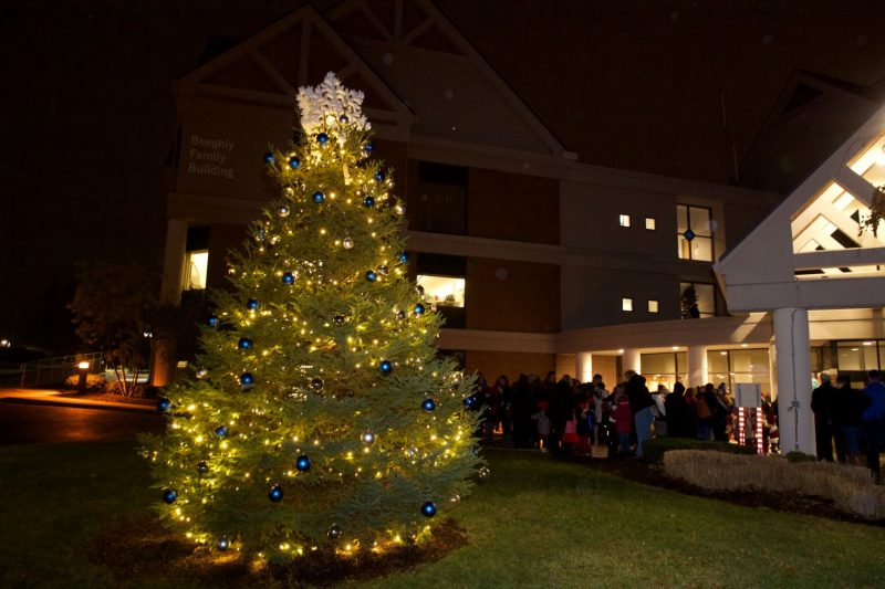 Beeghly campus Christmas tree